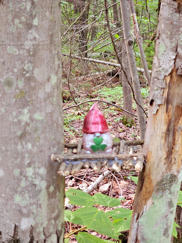 Found gnome photo by Norah H.
