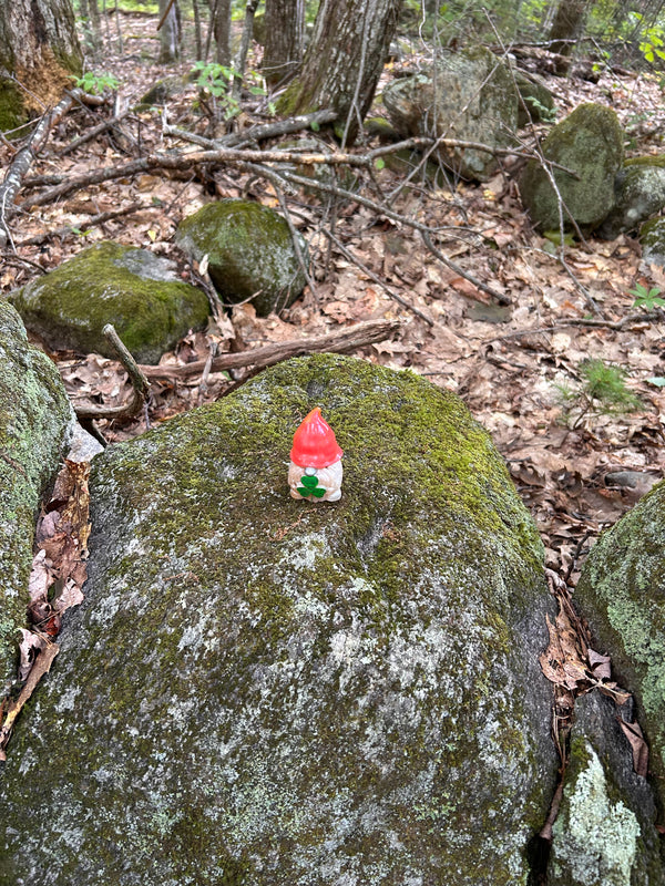 Found gnome photo by Drew S.