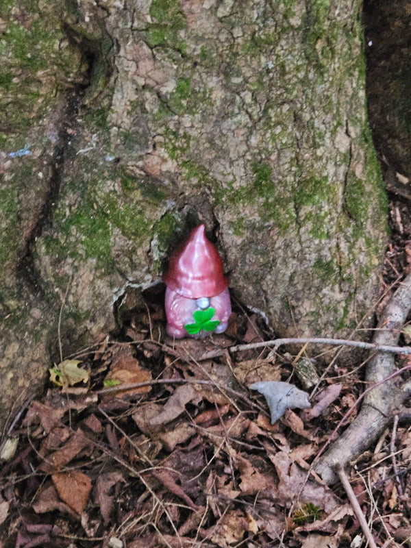 Found gnome photo by Emmett J