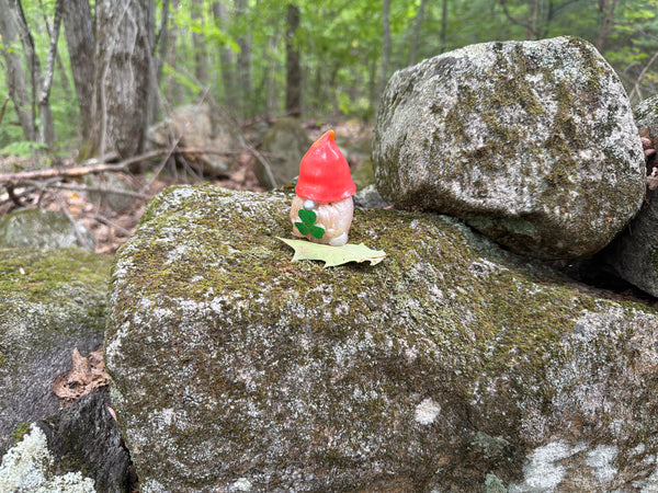Found gnome photo by Will C.