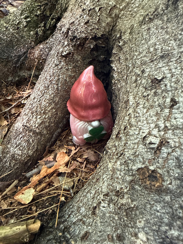 Found gnome photo by Justina N.