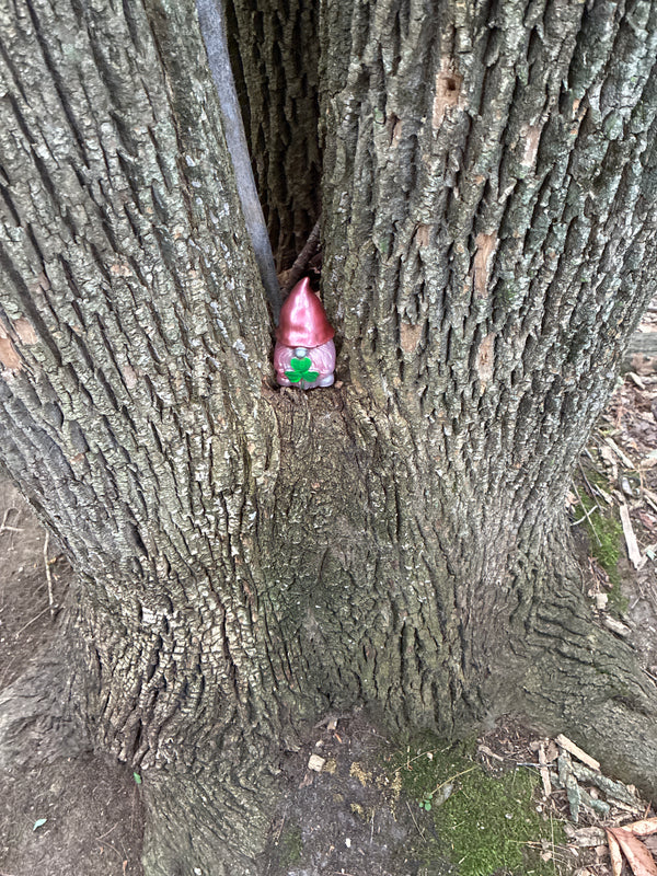 Found gnome photo by Ava P.