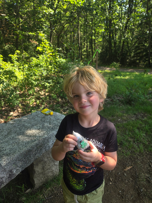 Found gnome photo by Iver A.