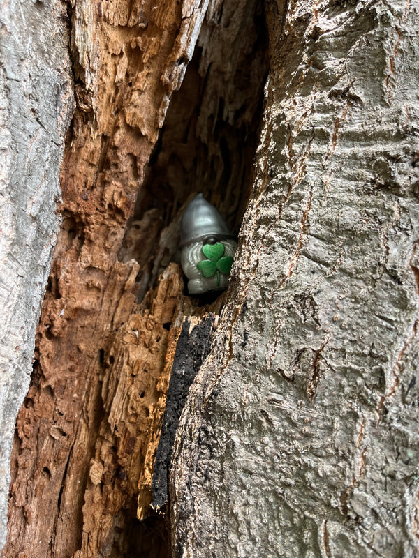 Found gnome photo by Elizabeth C.
