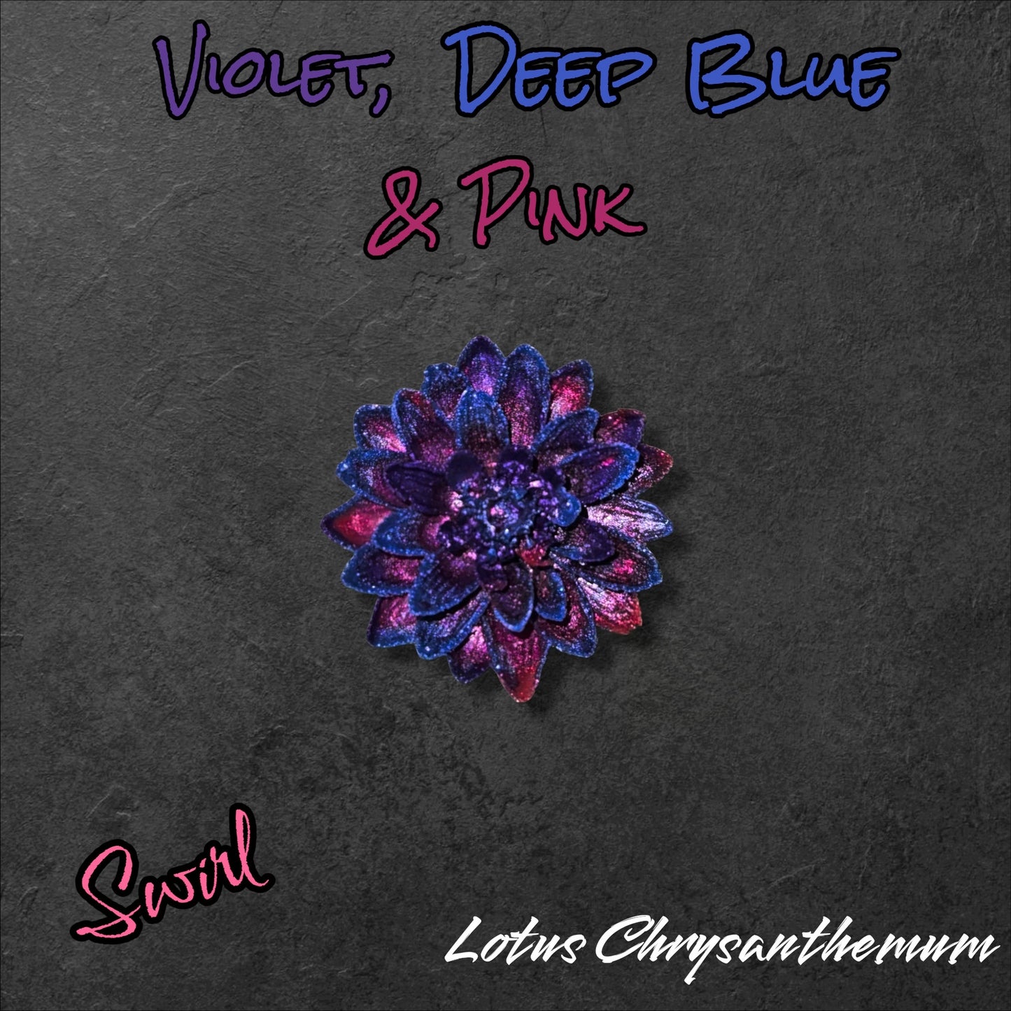 Lotus Chrysanthemum -Perfect Sparks
