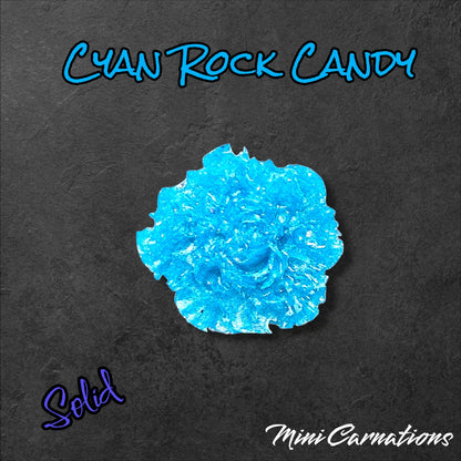 Mini Carnations -Perfect Sparks