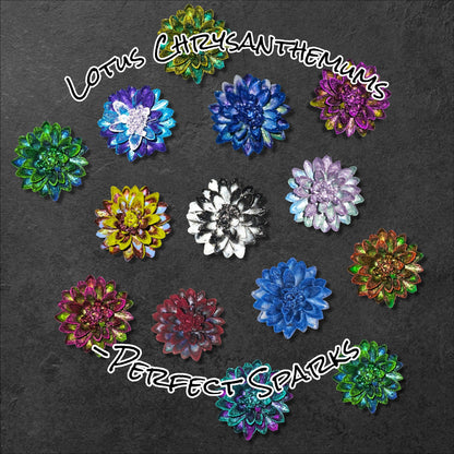 Lotus Chrysanthemum -Perfect Sparks