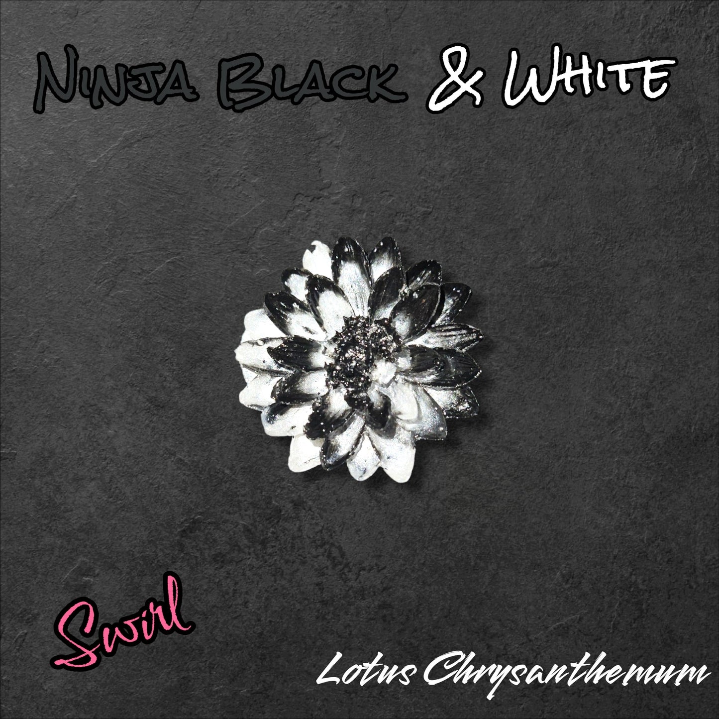 Lotus Chrysanthemum -Perfect Sparks