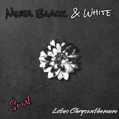 Lotus Chrysanthemum -Perfect Sparks
